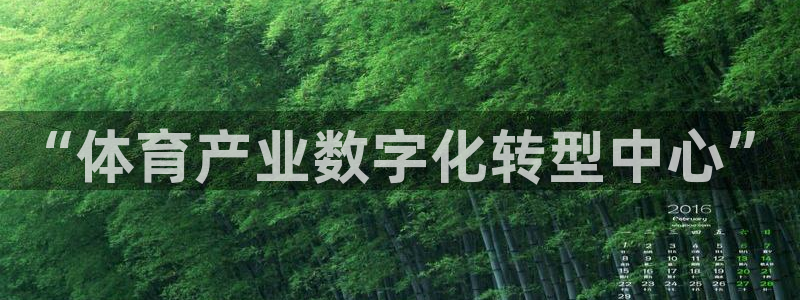 必一体育app官方网