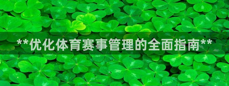 必一体育最新官网入口
