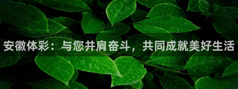 必一体育怎么下载：安