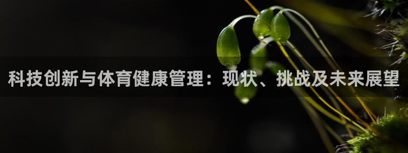 必一体育官方网站入口