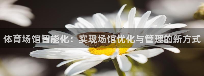 必一运动听的歌：体育