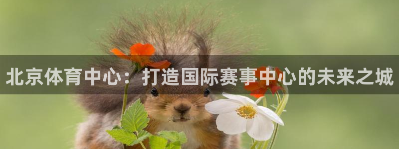 必一体育下载一样吗：