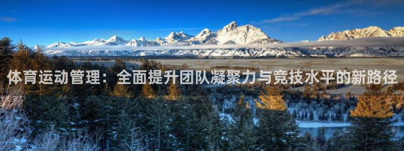 b体育必一下载：体育