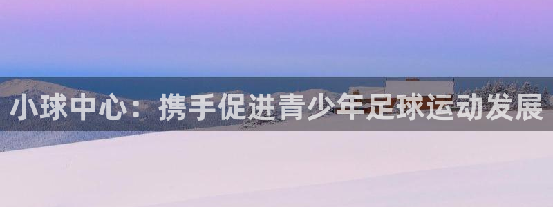 b体育官网下载入口a